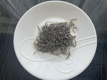 こんぶ　わかめも皿